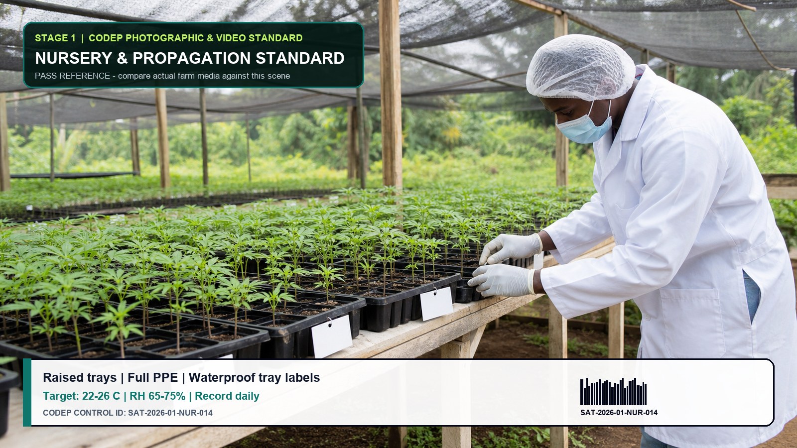 CODEP nursery tray photographic standard with barcode label